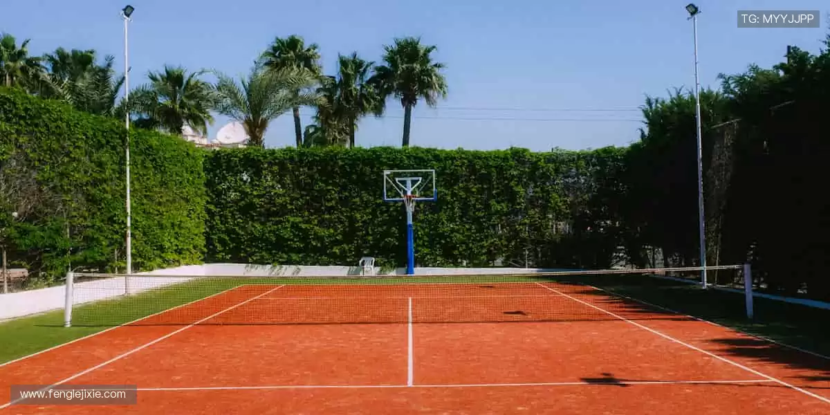 📺 一键直击，赛事精彩永不错过！